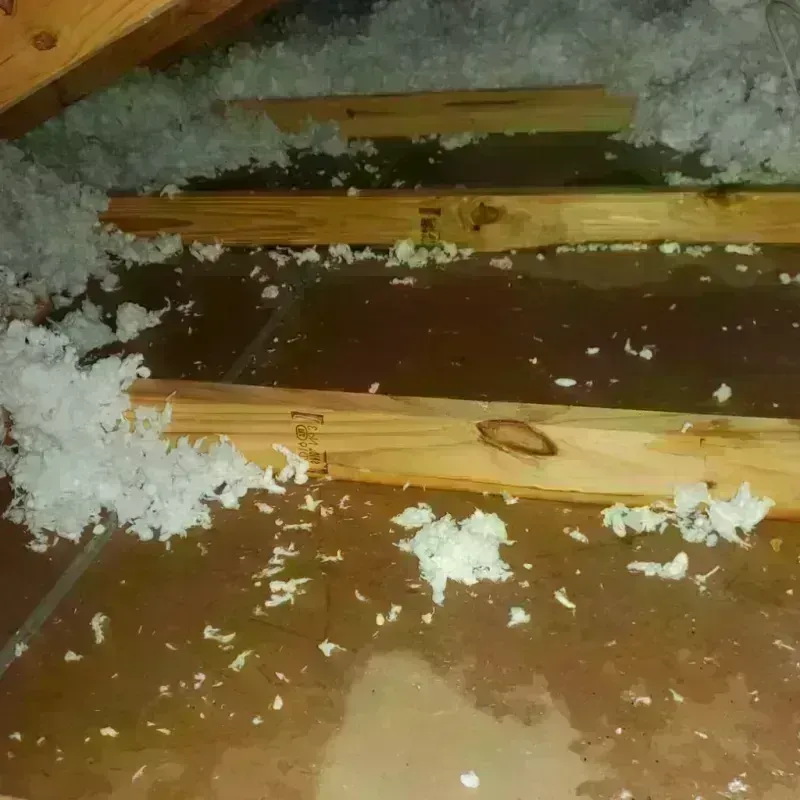 Attic Water Damage in Hanover Park, IL